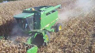 Harvesting my irrigated  corn!