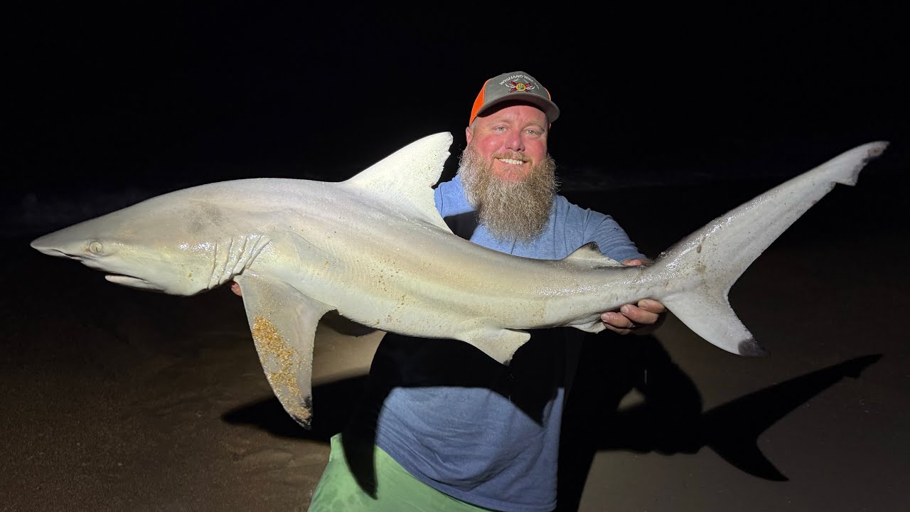 Blacktip SHARK - Catch Clean Cook - Pineapple Teriyaki Shark Kabobs