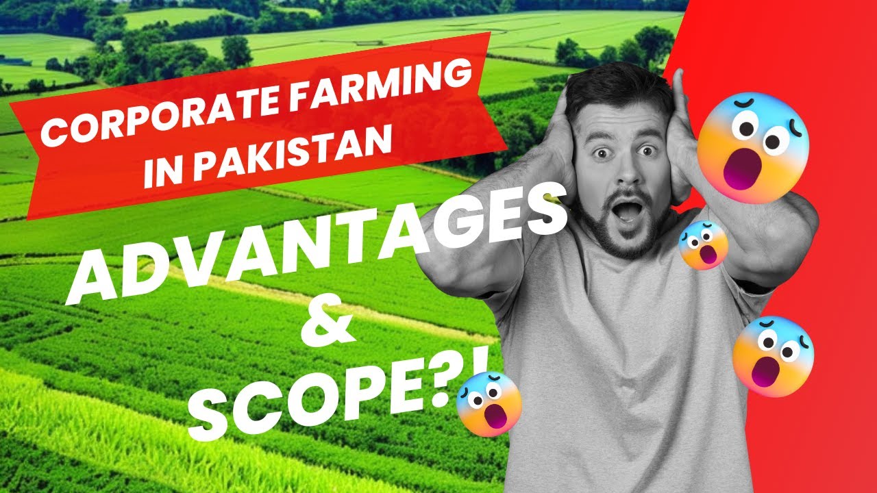 Corporate Farming in Pakistan Advantages and Scope | #farming #corporate #agriculture #agribusiness