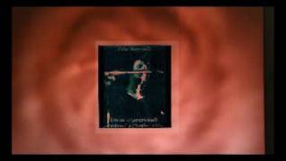 Video thumbnail of "Peter Hammill - A Louse Is Not A Home - Part 1 - live & solo 1974"
