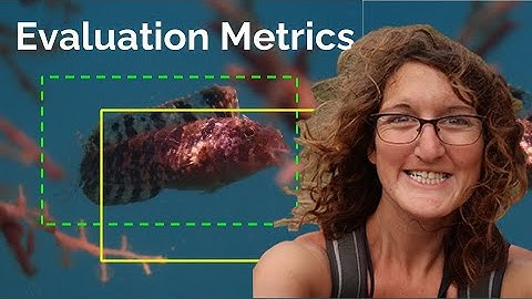 Shir Bar - Lecture 6 - Evaluation Metrics in Computer Vision for Ecology