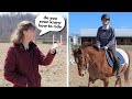 Types of riding instructors funny 