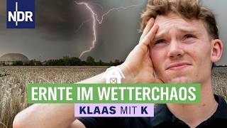 After the storm: Can the harvest still be saved? | Klaas mit K | E7 | NDR