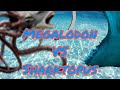 Megalodon VS Sharktopus