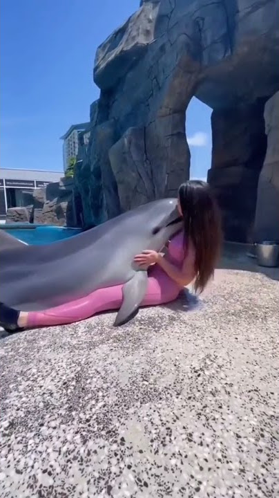 2 The dolphin kisses a woman #shorts