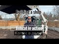 Bobcat in action/ Котик в деле