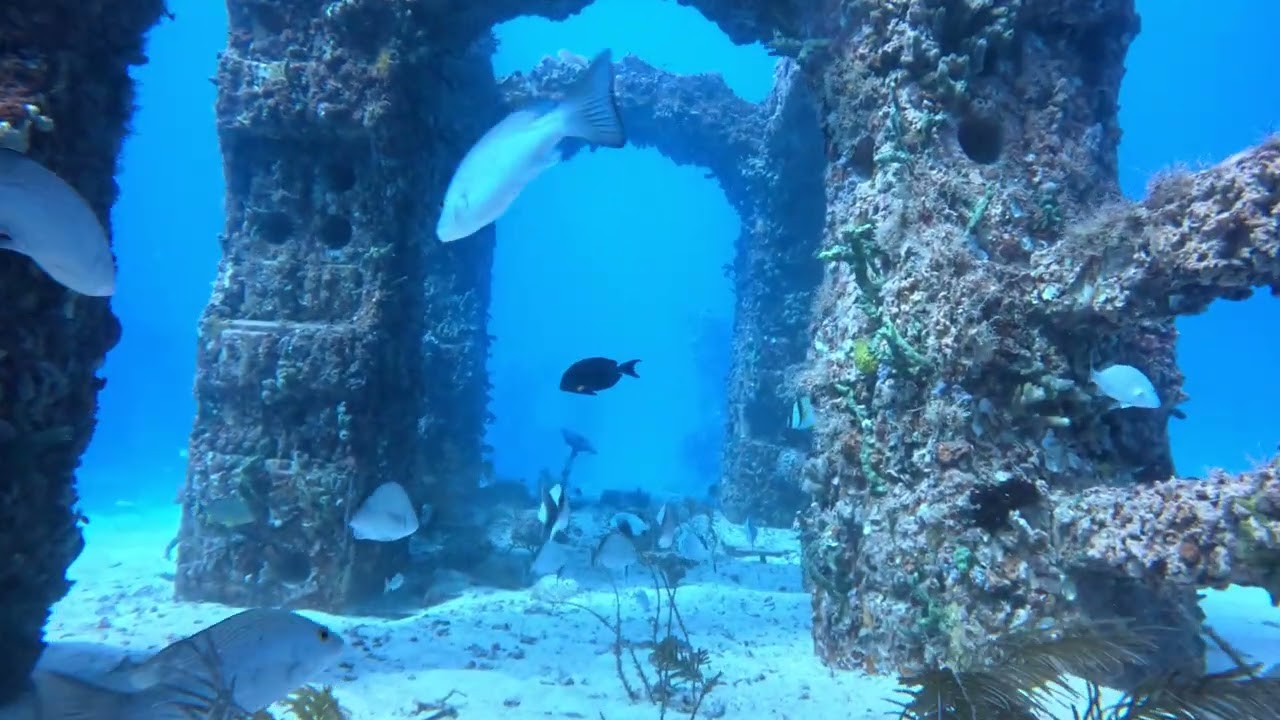 Neptune Memorial intro