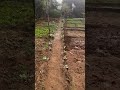 Jab morning bite garden mai baat hi alag hai 😍#garden #gardentime #plants #farming#gardening#video