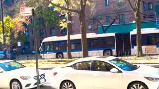 Castle Hill Bound: 2012 Novabus LFSA [5301] Bx22 Bus