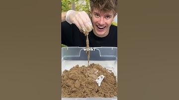 The Worlds Dumbest Science Experiments
