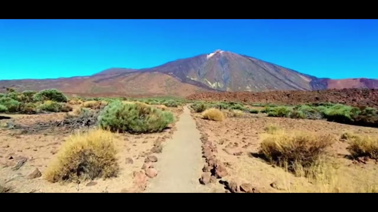 FERMANDARO SERİ RAKE