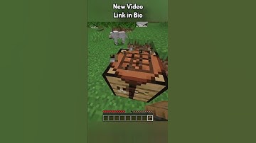 so I did a Minecraft Item Race... #minecraft #shorts #mcyt