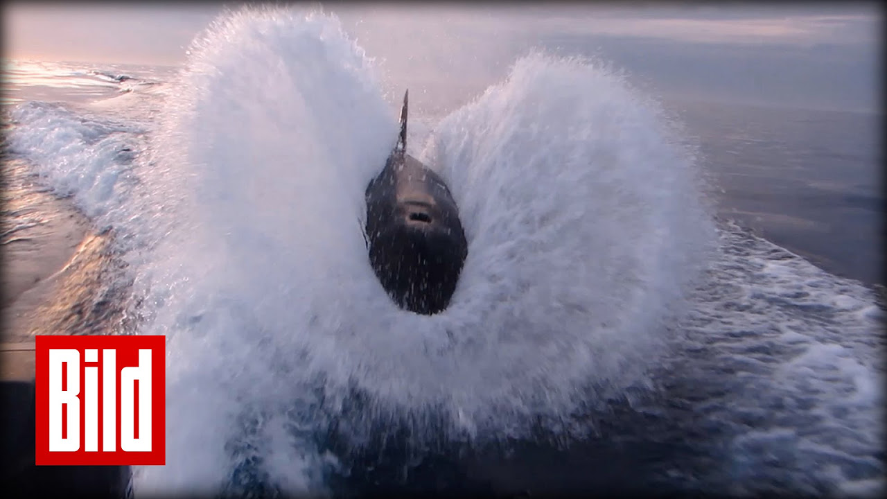 Das intelligenteste Tier! - Die unglaublichen Jagdtechniken der Orcas... | Robert Marc Lehmann