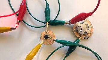 Homemade lilytiny