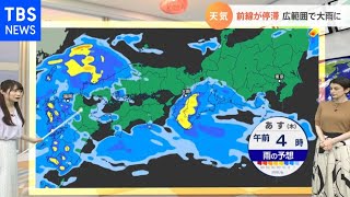 【8月12日関東の天気予報】関東もあすは本降りの雨に