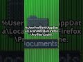 Web Browser Forensics - Firefox Cache Analysis