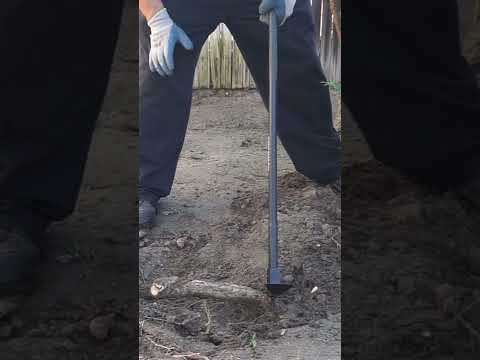 Easy Tree Stump Removal, No major tools required!