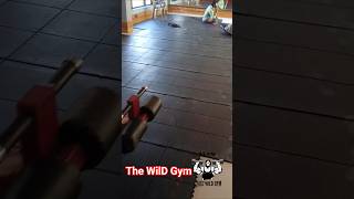 #Mat #installation #the_wild_gym #wildanimals #follower