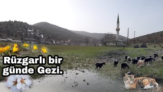 Rüzgarlı Bir Günde Gezi - Bartlıda Çiğdem Vakti Geçiyor. Titreyen Gölümde Aşırı Rüzgar.