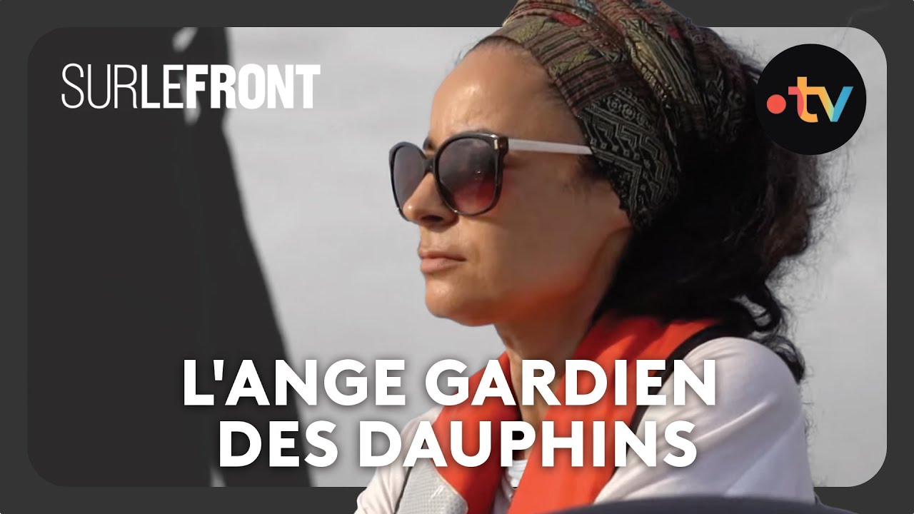 L'ange gardien des dauphins face aux pêcheurs - Sur le front avec Hugo Clément