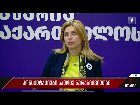 კონსულტაციები სალომე ზურაბიშვილთან