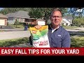 Easy Fall Lawn Tips For Your Yard - Ace Hardware
