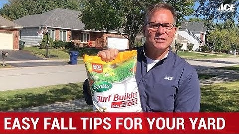 Easy Fall Lawn Tips For Your Yard - Ace Hardware