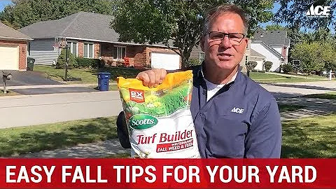 Easy Fall Lawn Tips For Your Yard - Ace Hardware