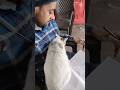 my cat mujhe paresan karti h
