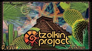 Tzolkin Project - Nikté-já - 210 (OVNI Records Hitech) Tzolkin Project - Nikté-já - 210 (OVNI Records Hitech)