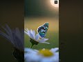 Butterflies अपने पैरों से Taste लेती हैं 🤯  #facts #amazingfacts #allfacts #dailyfacts  #bigfacts