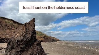 Fossil Hunt On The Holderness Coast. Hunting For Ammonites & Other Fossils.