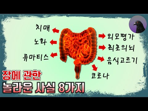 장이 뇌를 조종한다?! 장에 관한 신기한 사실 8가지