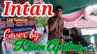 Intan ( Lodi Tambunan) Cover Rhaen Aprilian