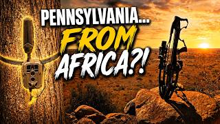 I Checked My Pennsylvania Trail Cameras... FROM AFRICA!