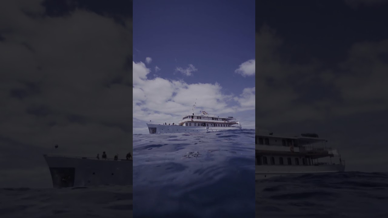 Galapagos Grace Yacht - Once Grace Kelly's Royal Honeymoon Yacht!