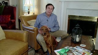 Woman loses $4,800 in puppy scam Net Worth