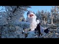 Видео поздравление Деда Мороза 🎅