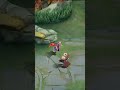 epic skin Naruto skin vale #trendingvedio #animation #animation #mlbb