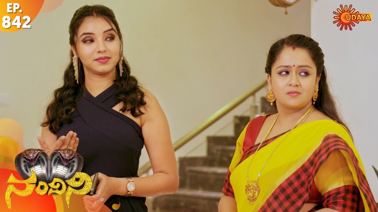 Nandini - Episode 842 | 9th Jan 2020 | Udaya TV Serial | Kannada Serial