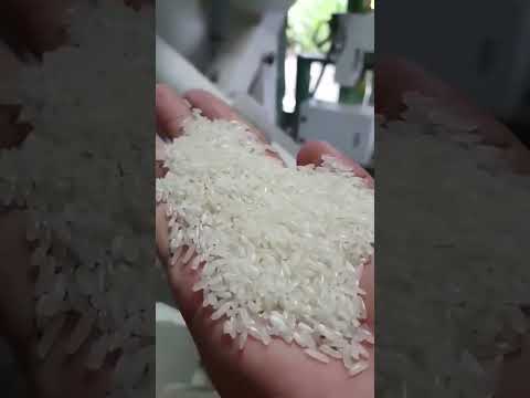 Commercial MPG100*2B Rice Polishing Machine for Complete ...