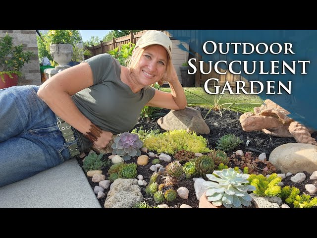 Building an Outdoor Succulent Garden class=