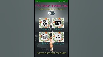 FIA: Flower Identifier Application