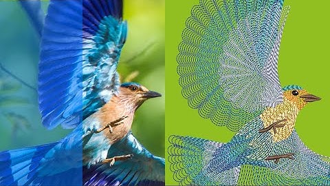 Creating spiral fills in EmbroideryStudio