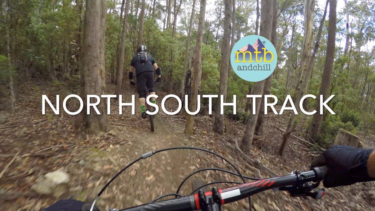 Mountain biking The North South Track - Tasmania (LOWER SECTION)
