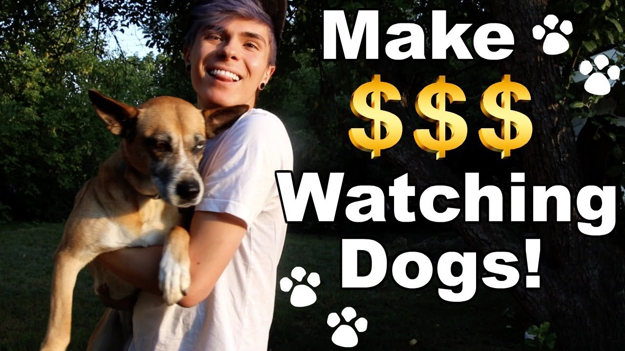can you make money dog sitting
