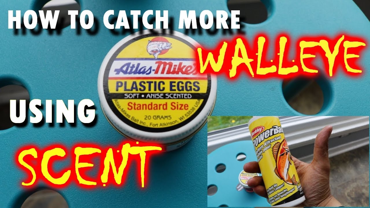 best walleye scent attractant