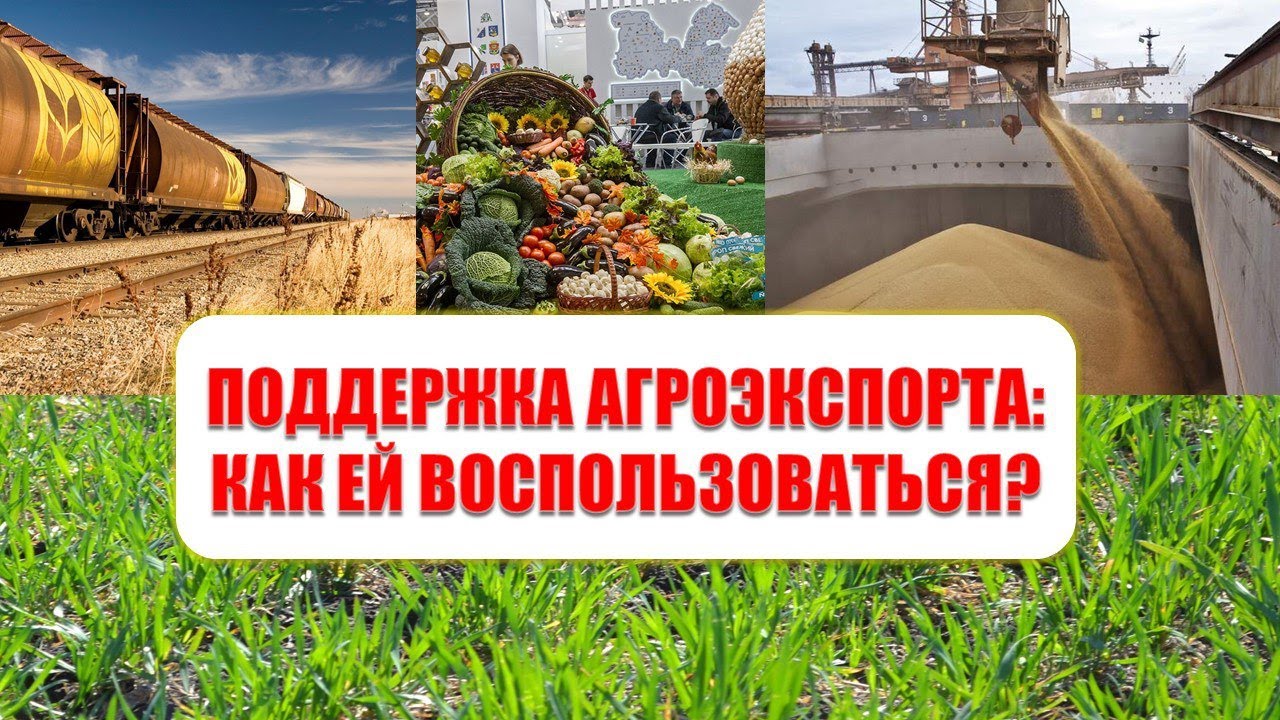 Прямой экспорт