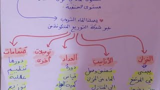 بعض ملخصات التربية العلمية السنة الرابعة ابتدائي_تسهل عليكم التحضير للاختبار