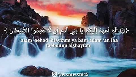 حالات واتس اب تلاوة خاشعة أحمد النفيس HD
